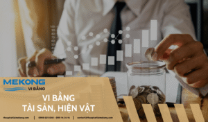 Vi bằng tài sản, hiện vật - Thừa phát lại Mekong